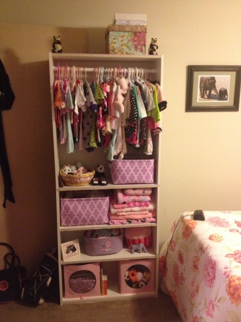 Incredible Portable Baby Closet Image