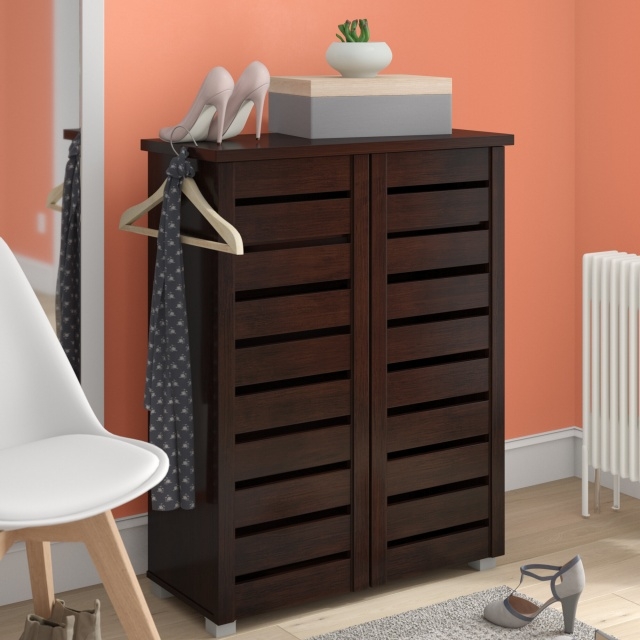 Incredible Shoe Storage Design Photos