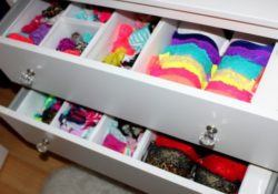 Insanely Bra Drawer Organizer Pics