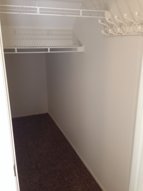 Insanely Coat Closet Under Stairs Picture