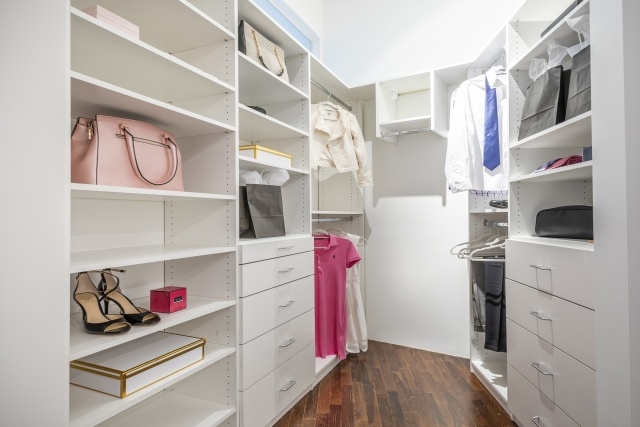 Insanely Great Closet Ideas Pictures