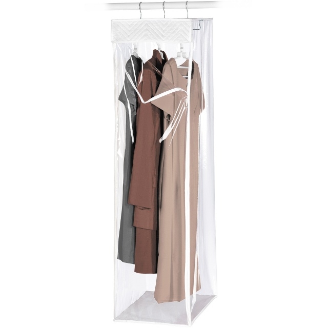 Inspiring Closet Storage Bags Image