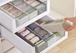 Inspiring Underwear Drawer Organizer Picture