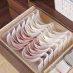 Inspiring Wardrobe Drawer Organizer Pic