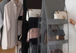 Interesting Closet Bag Organizer Pic