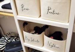 Interesting Closet Organizer Boxes Image