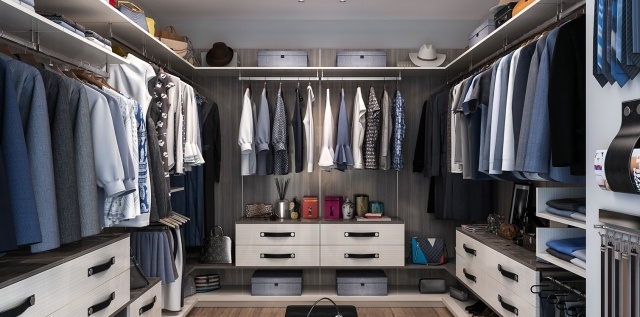 Interesting Closet System Design Pics