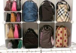Interesting Handbag Organizer For Closet Pic