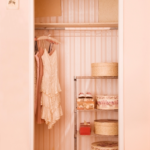 Interesting Ideas For Closet Storage Pic