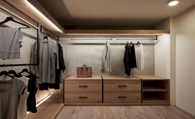 Interesting Japanese Style Closet Photo