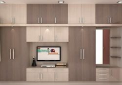 Interesting Living Room Closet Design Photo