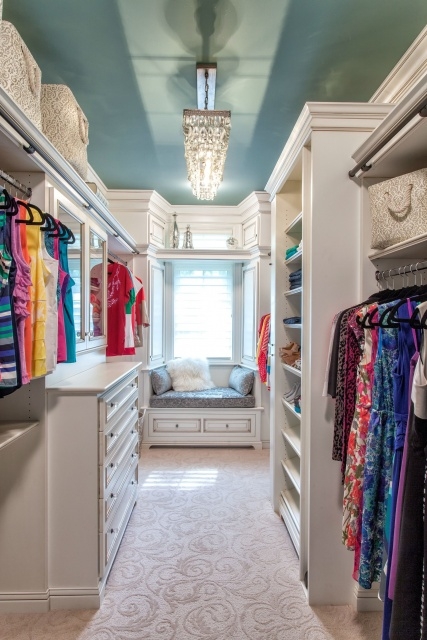 Luxurious Closet Color Ideas Pic