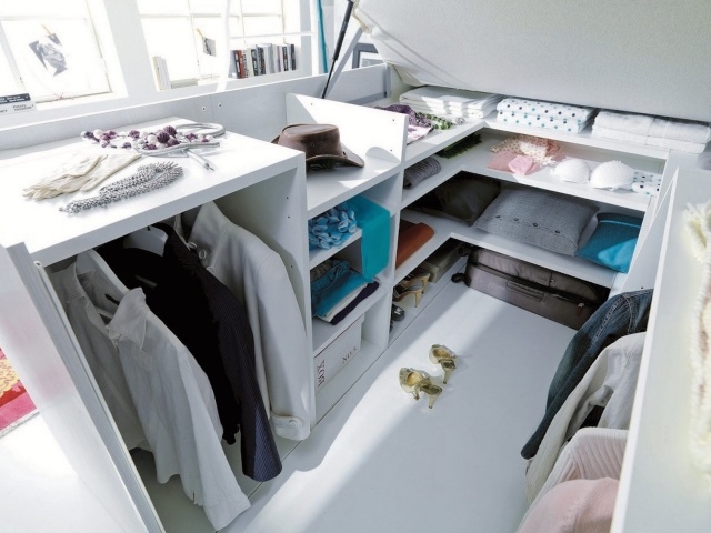 Luxurious Loft Bed With Walk In Closet Underneath Picture
