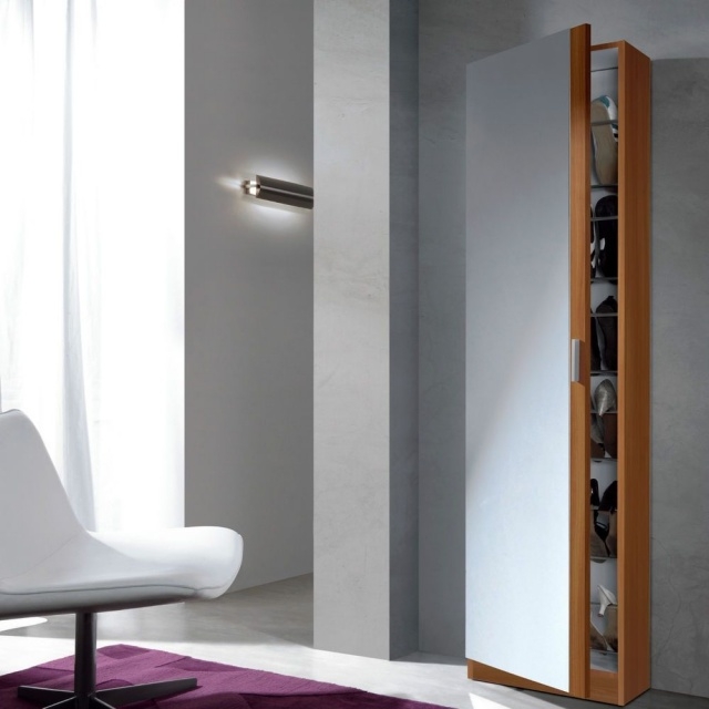 Luxurious Slim Shoe Storage Cabinet Pictures
