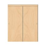 Marvelous Interior Sliding Closet Doors Picture