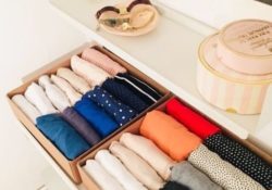 Marvelous Marie Kondo Wardrobe Photo