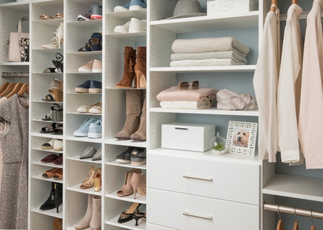 Most Creative Closet Organizer Shoes Pictures