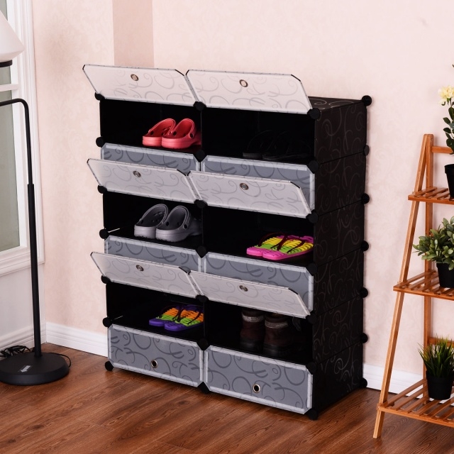 Most Inspiring Closet Shoe Organizer Pics
