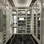 Most Inspiring Walk In Closet Accessories Pic