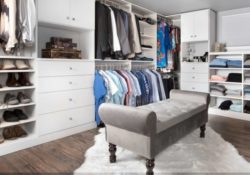 Outstanding Basement Walk In Closet Pic