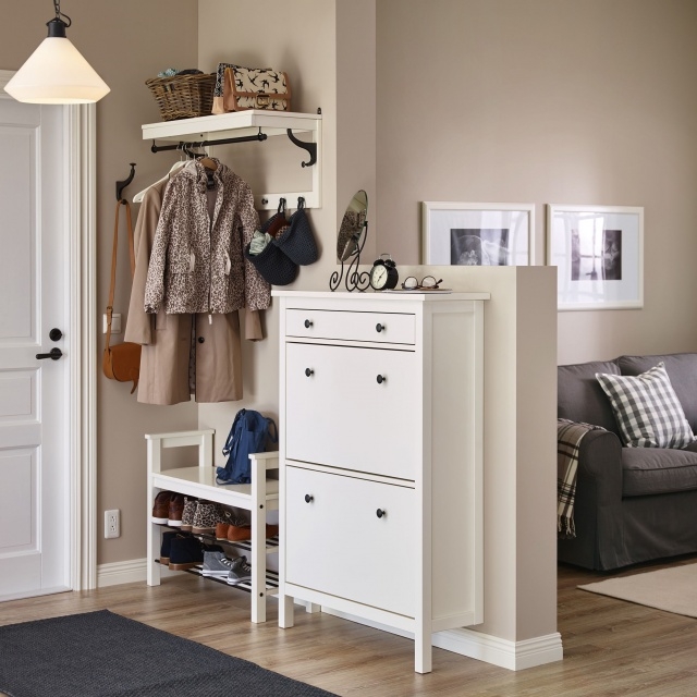 Outstanding Slim Shoe Storage Cabinet Pictures