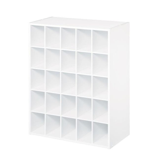 Simple Shoe Cube Organizer Picture