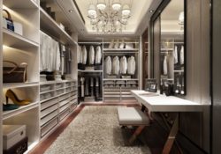 Simple Walk In Closet Luxury Pictures