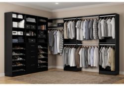 Splendid Walk In Closet Systems Pics