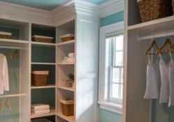 Splendid Walk In Closet With Window Image