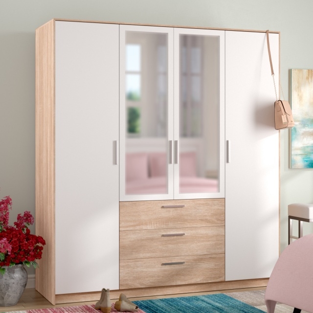 Splendid Wardrobe Closet With Mirror Photos