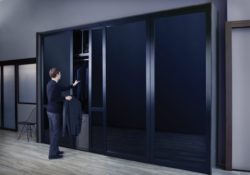 Stylish Glass Closet Doors Picture