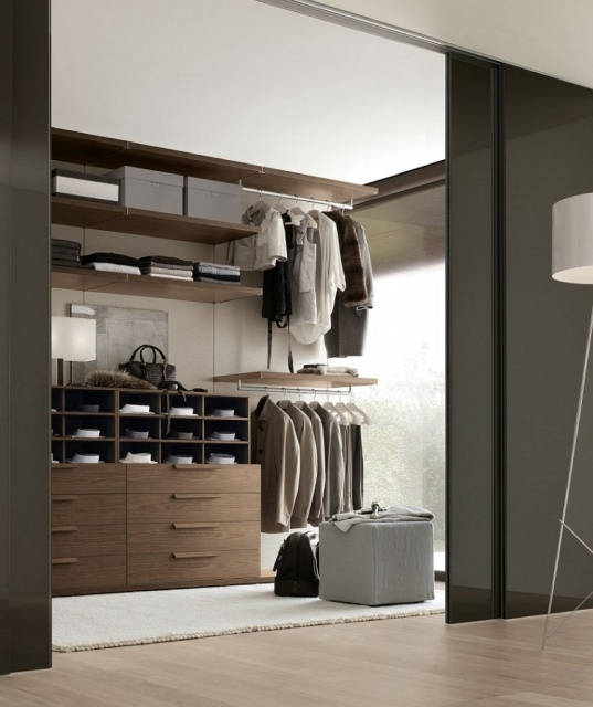 Stylish Walk In Closet Doors Pics