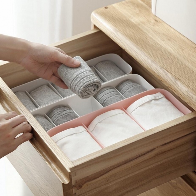 Stylish Wardrobe Drawer Organizer Picture