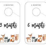 Top Baby Closet Dividers Pic