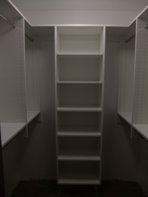 Top Basic Walk In Closet Picture