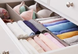 Top Closet Drawer Organizer Ideas Pics