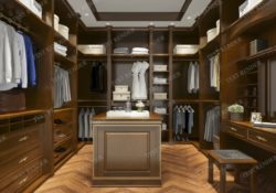 Top Luxury Walk In Closet Image