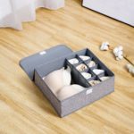 Wonderful Bra Drawer Organizer Image