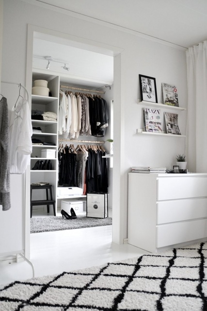 Wonderful White Closet Ideas Pictures